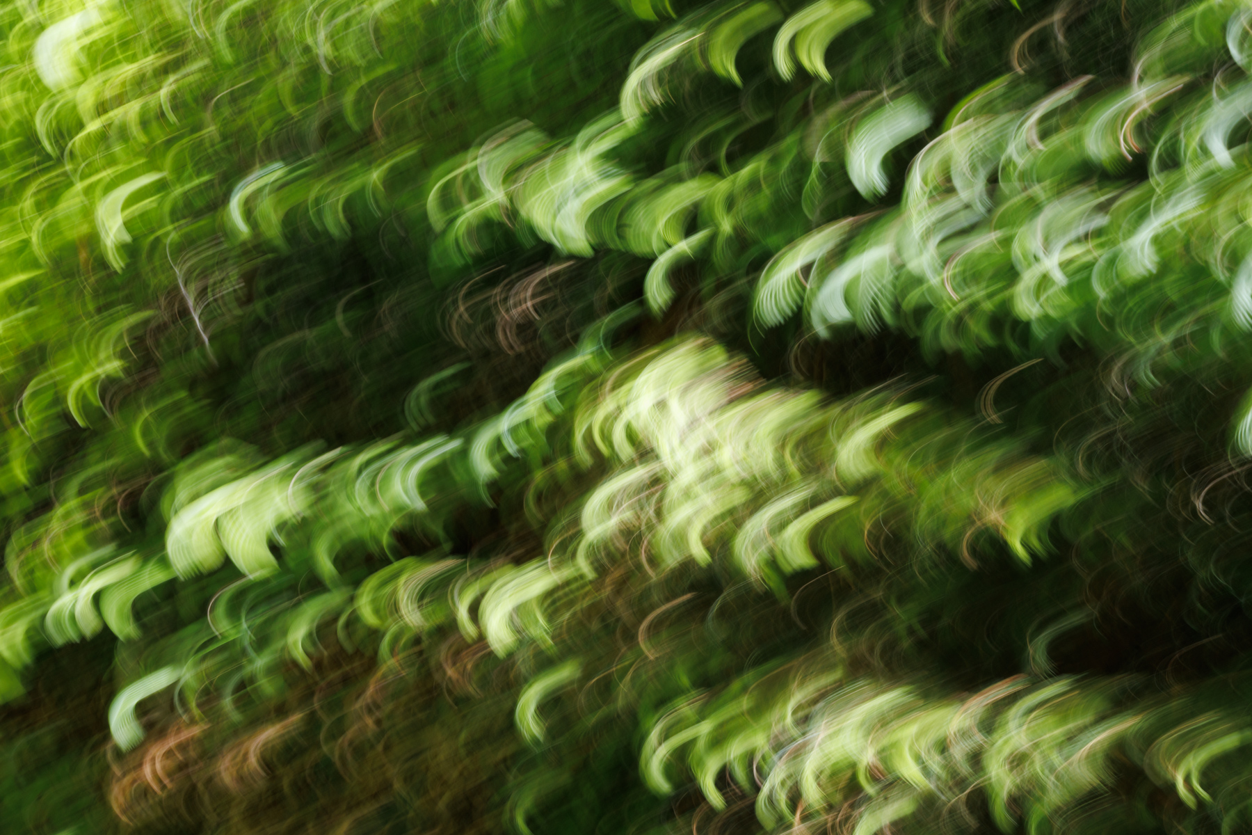 ICM im Grünen