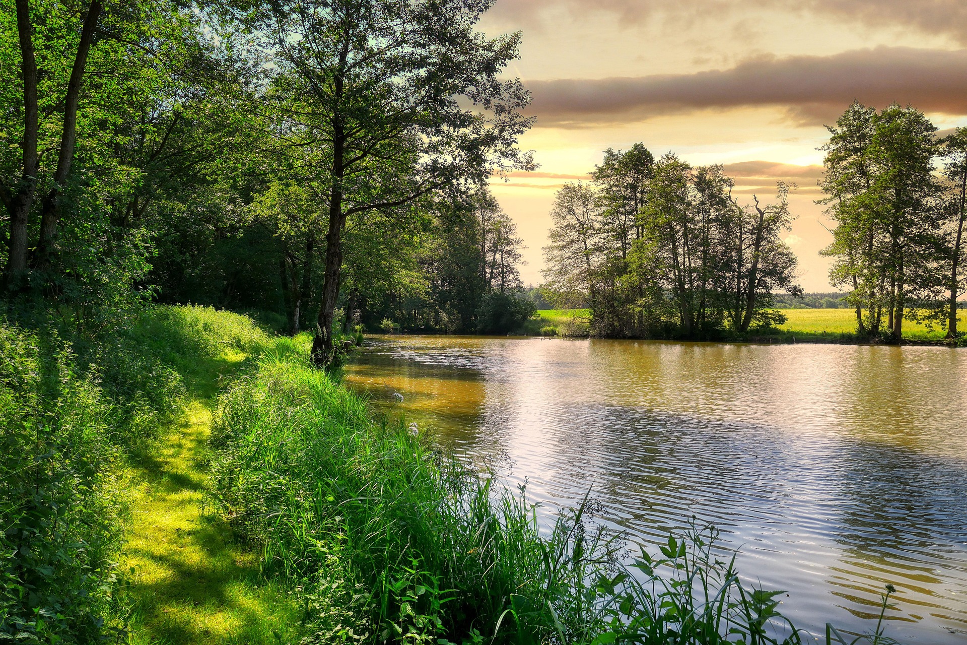 16.05.2026 | Spaziergang am Itzenplitzer Weiher