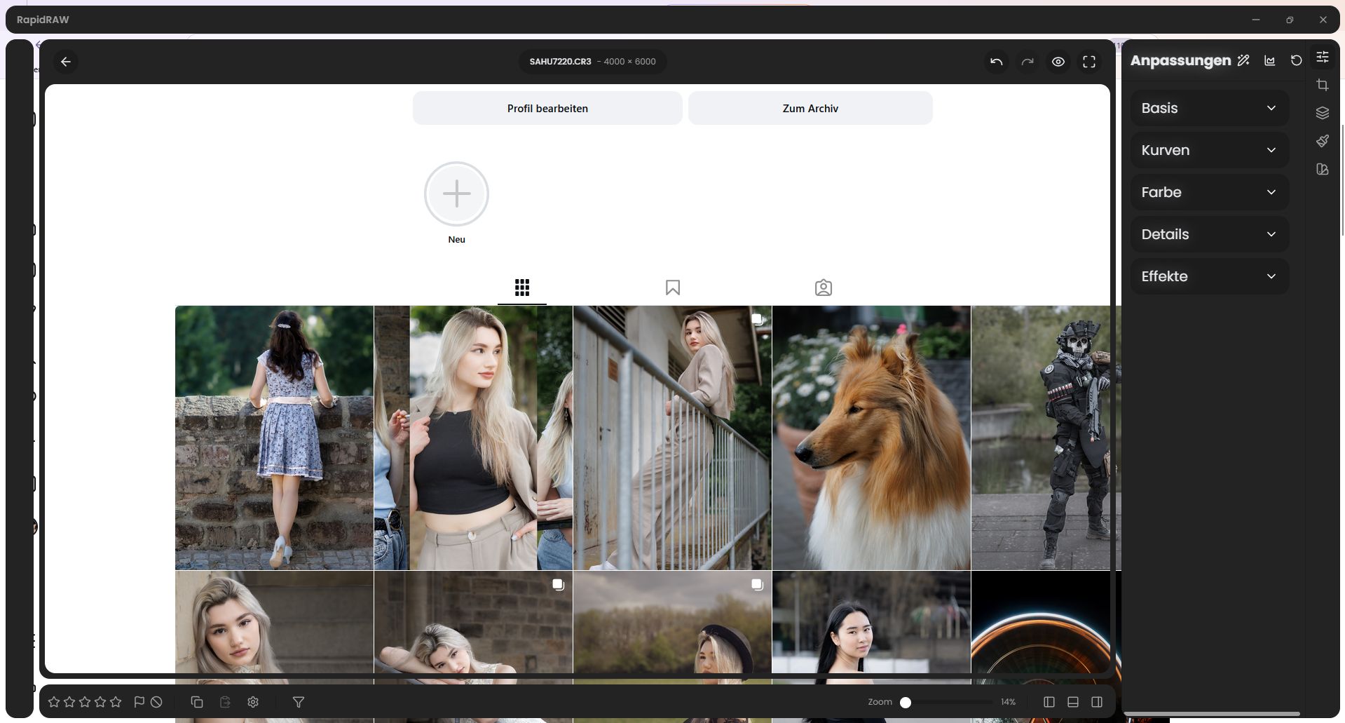 Darstellungsfehler in RapidRAW 1.6.5: Statt der geöffneten Fotografie erscheint im Bildbereich ein Teil der zuvor besuchten Webseite, während die Bedienelemente sichtbar bleiben