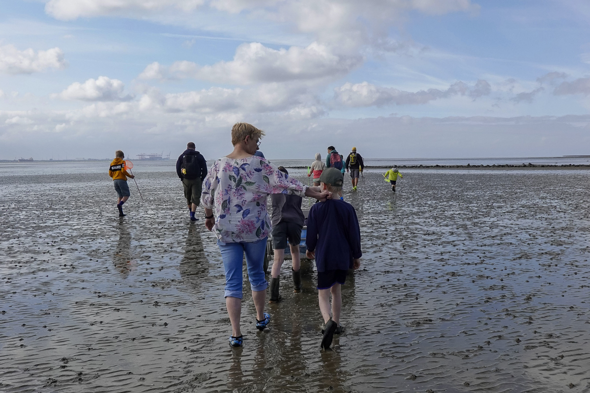 Gruppe von Menschen bei einer Wattwanderung in Butjadingen, auf nassem Wattboden mit weitem Himmel und Nordseelandschaft