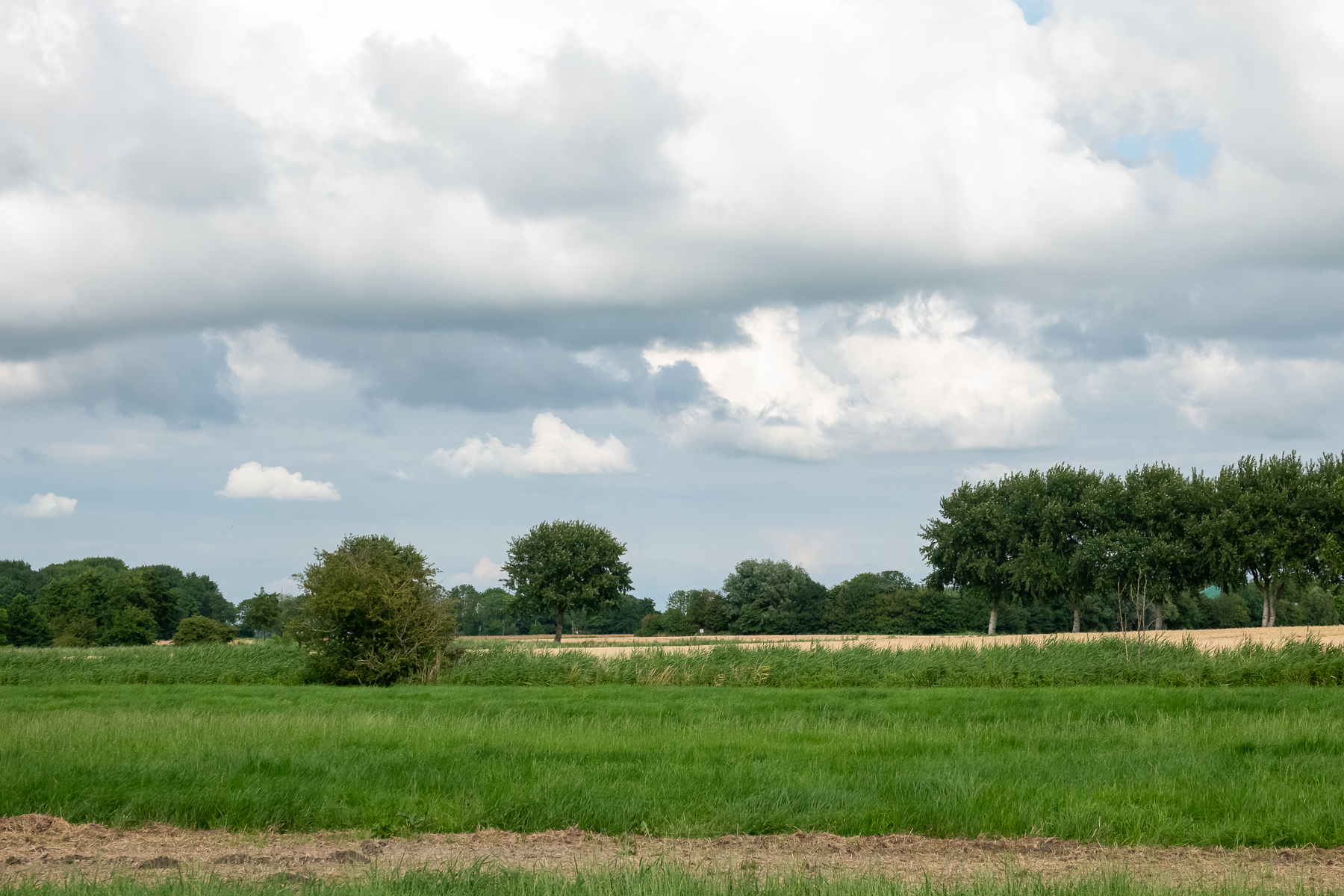 Weite bei Campen (direkt neben dem Leuchtturm)