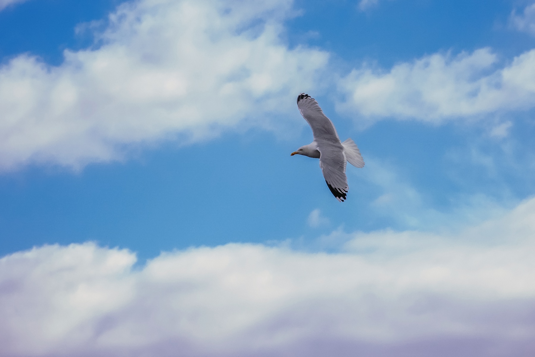 Weite über der Nordsee