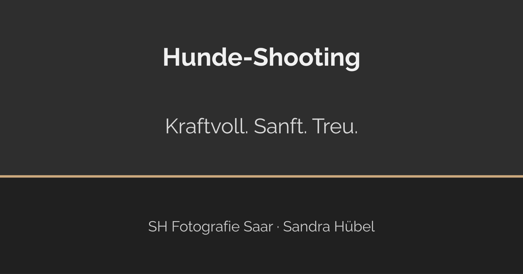 Ein sanfter Riese mit Herz