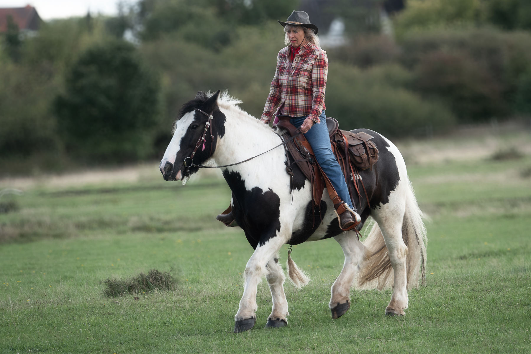 Sh fotografie saar pferd reiter shooting 1g