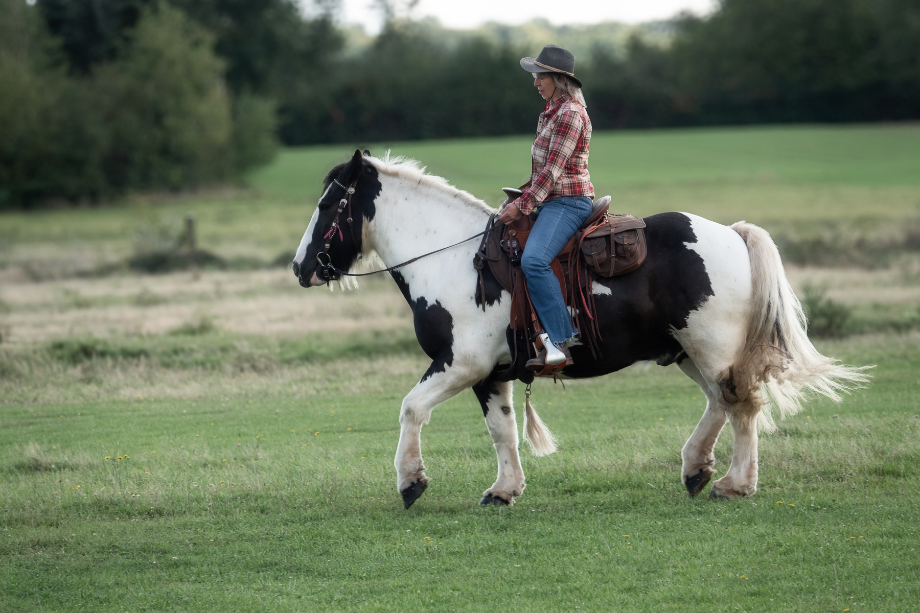 Sh fotografie saar pferd reiter shooting 1h