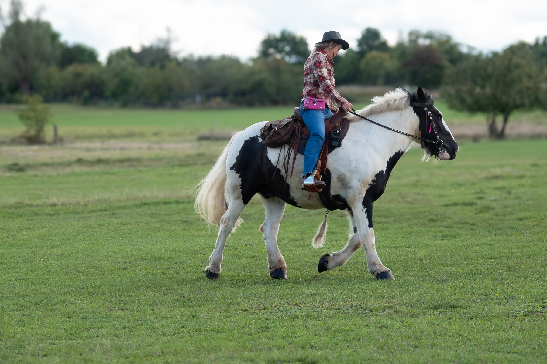 Sh fotografie saar pferd reiter shooting 1i